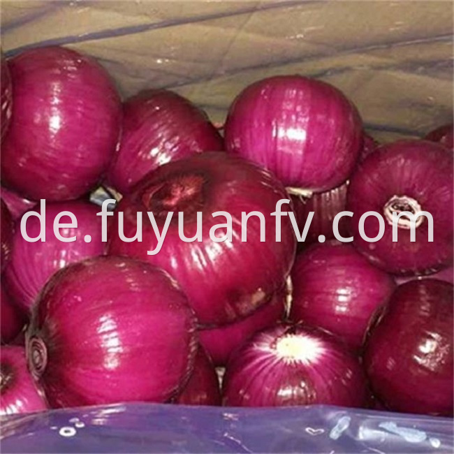 red onion